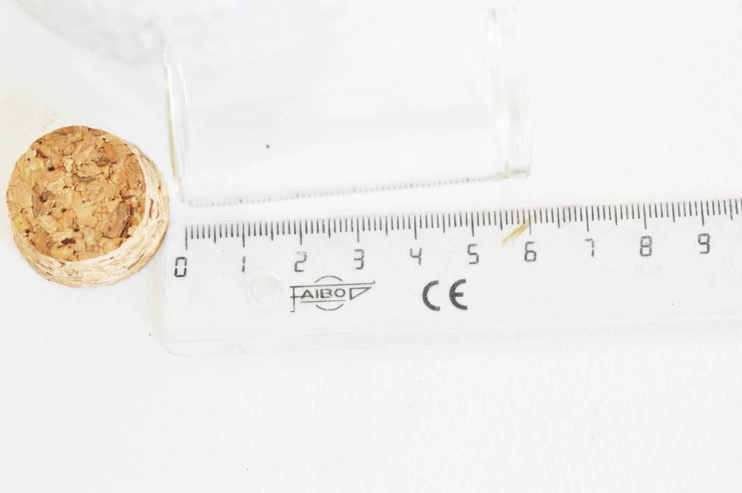 Cloche tube verre et bouchon en liège 30x60mm-G0207