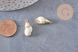 Pendentif coquillage blanc spirale fer doré 20mm, x2 (G0706)