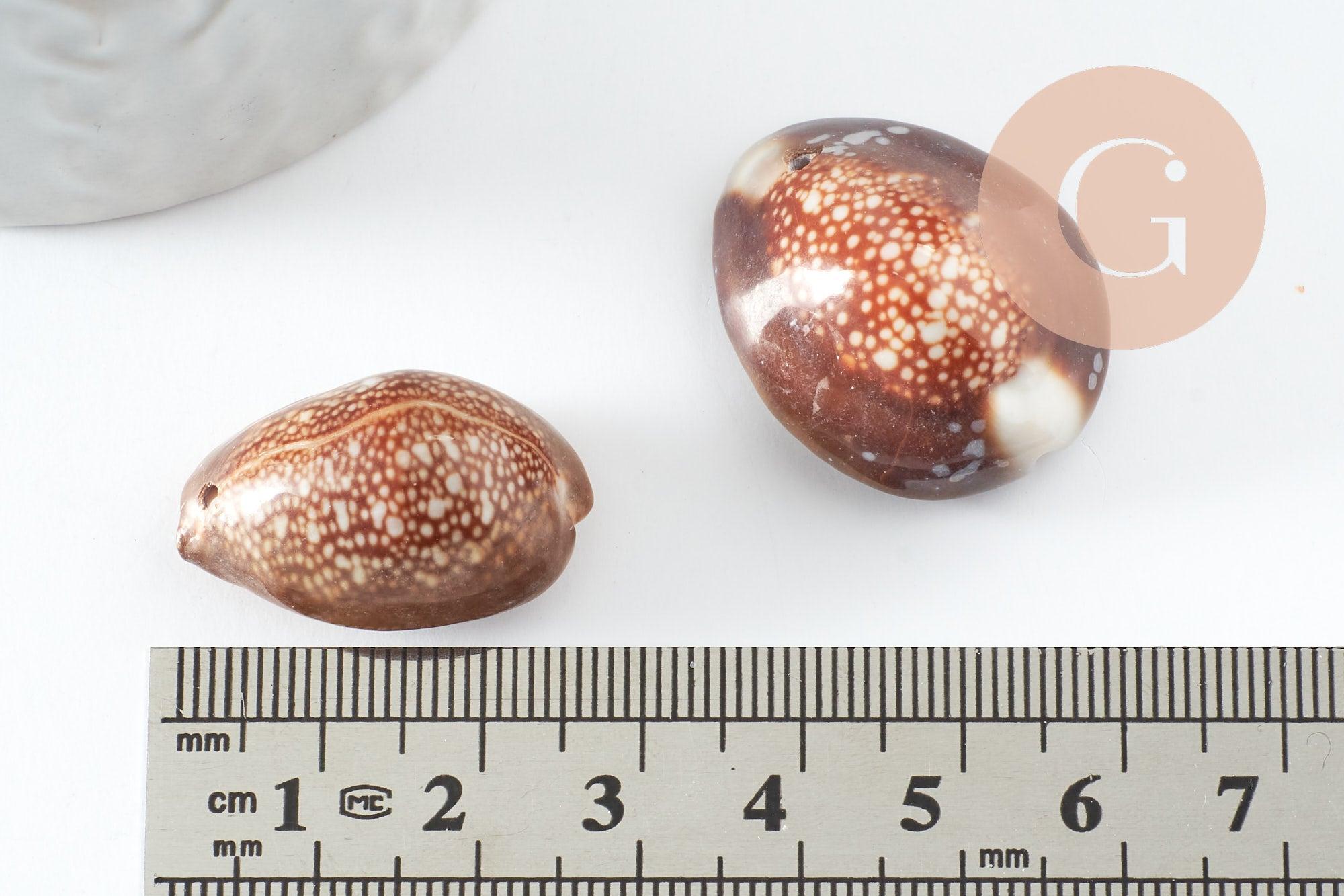 Pendentif coquillage naturel marron, coquillage porcelaine, pendentif coquillage, création coquillage bijou, x1 G0707