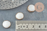 Perle ronde nacre blanche naturelle fer doré 13mm,nacre blanche,perle ronde nacre,coquillage blanc, x5 G0425