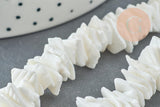 Perles chips coquillage naturel 6~12mm, x1 fil de 41cm (G3867)