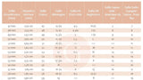 Support bague réglable laiton doré blanc 16mm, x1 (G3074)