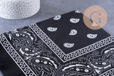 Bandana motif Cachemire Polyester 55cm, x1 (G10691)