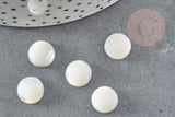 Cabochon rond nacre blanche naturelle 10mm, x1 (G2751)