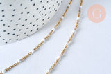 Collier Chaine acier 304 inoxydable doré 14k résine blanche 2mm-45cm, x1 (G1732)