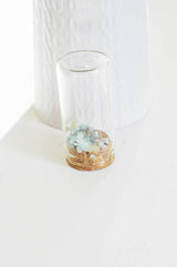Cloche tube verre et bouchon en liège 30x60mm-G0207
