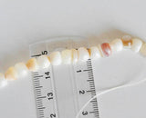 EP Perles coquillage beige nacre fil 145 perles - G531