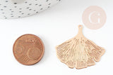 Pendentif estampe filigrane feuille gingko laiton doré 30x33mm, Pendentif très fin et léger, x2 (G4440)