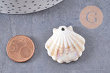Pendentif porcelaine beige coquillage 30MM, perle céramique géométrique fabrication bijoux céramique blanche, x1 (G3310)
