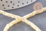Perle heishi nacre naturelle jaune pastel, perle tube coquillage coloré,2x4mm, fil de 20cm, x1 (G4476)