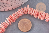 Perles chips coquillage naturel teinté en rose 15mm, fil de 40cm, x1 (G0147)