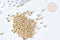 Perles tube or clair mat façon Delica miyuki, x1 sachet de 8g (G7762)