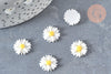 Cabochon fleur marguerite en résine 13mm,x5 (G8051)